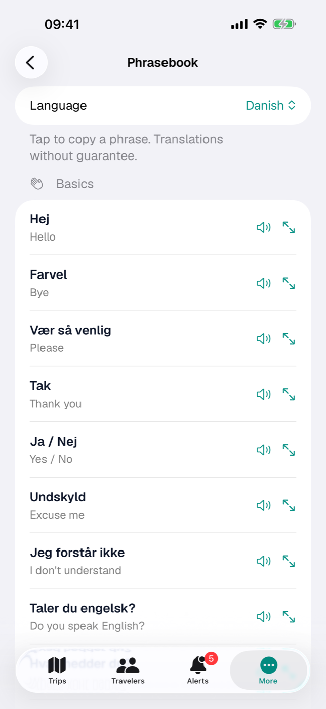 Phrasebook: phrases with translation, read aloud and large display