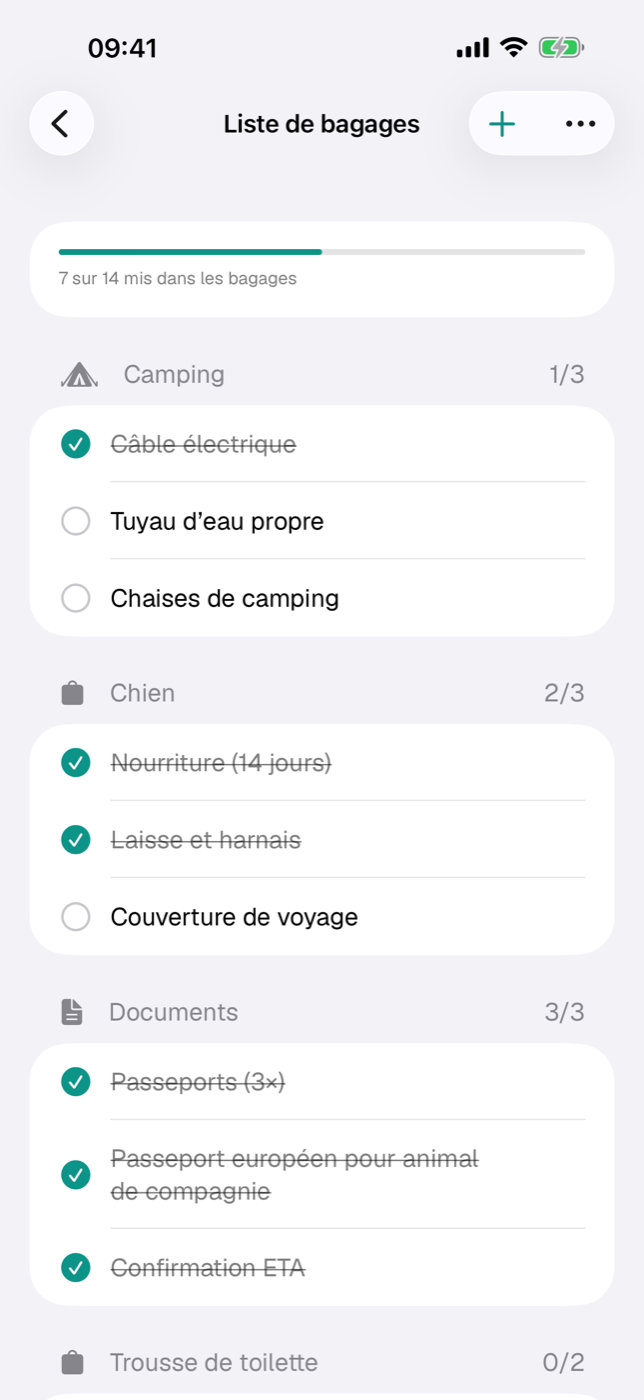 Liste de bagages avec barre de progression, sections par catégorie et éléments cochés
